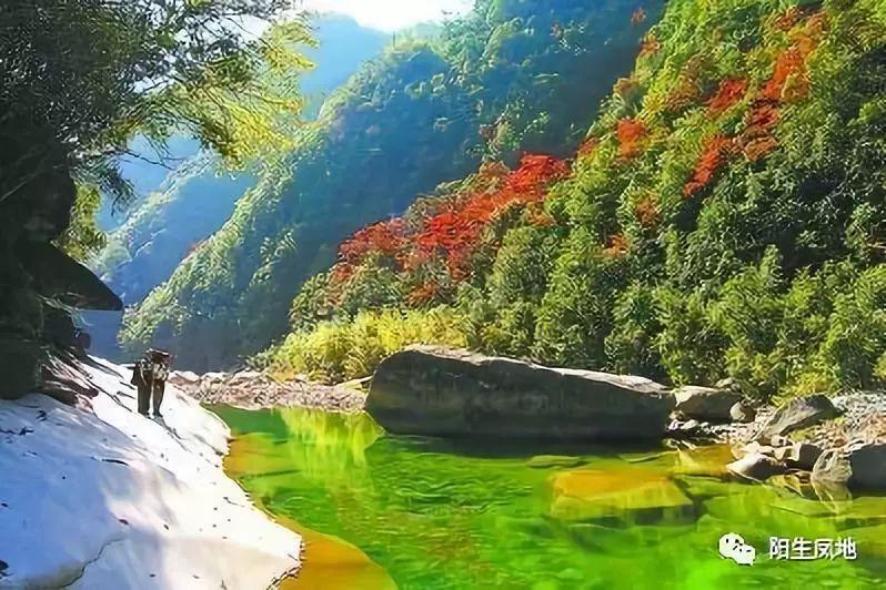 成长家园